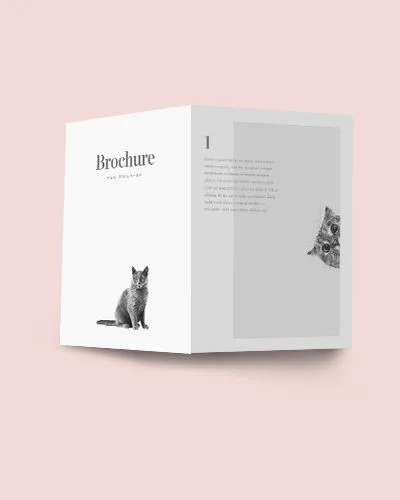 Portfolio Item - 米兰体育app
