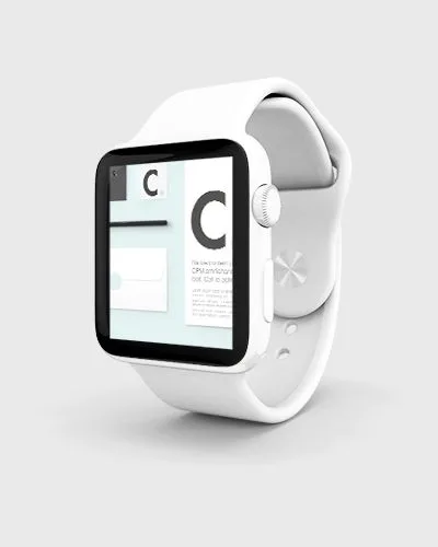 Portfolio Item - 米兰体育app